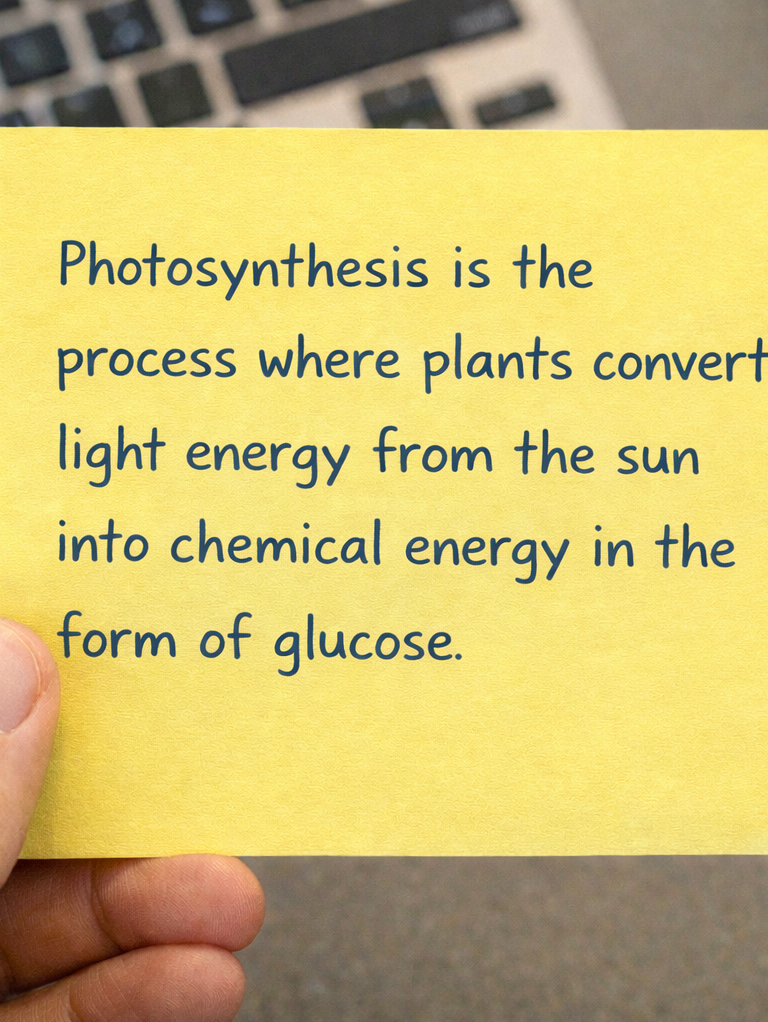 One Sentence Summary